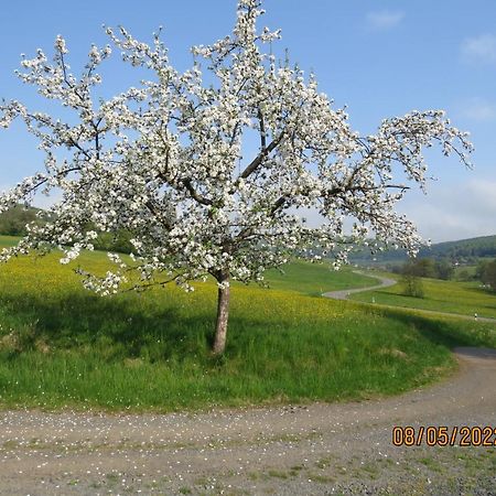 Ferienwohnung Rhoen Kaltennordheim Esterno foto