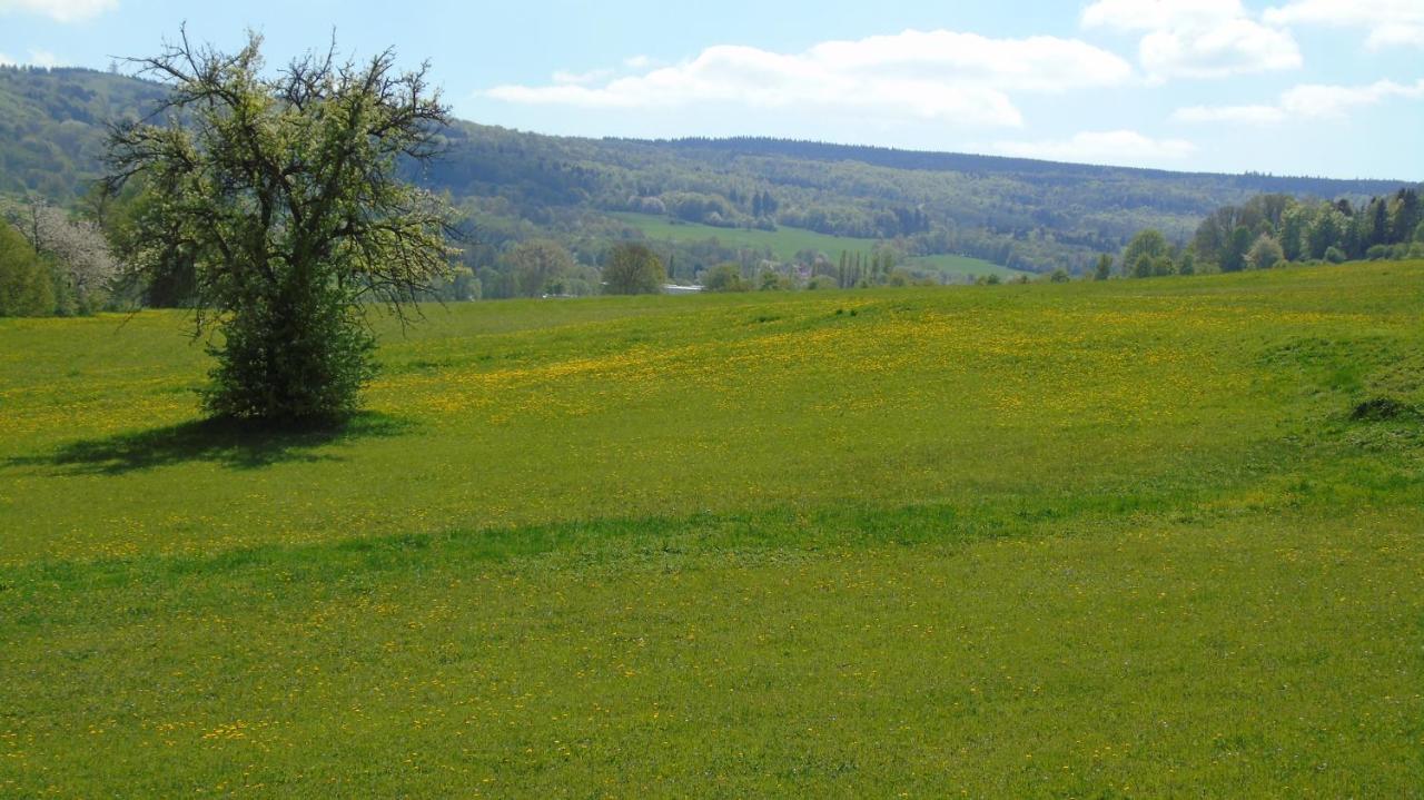 Ferienwohnung Rhoen Kaltennordheim Esterno foto